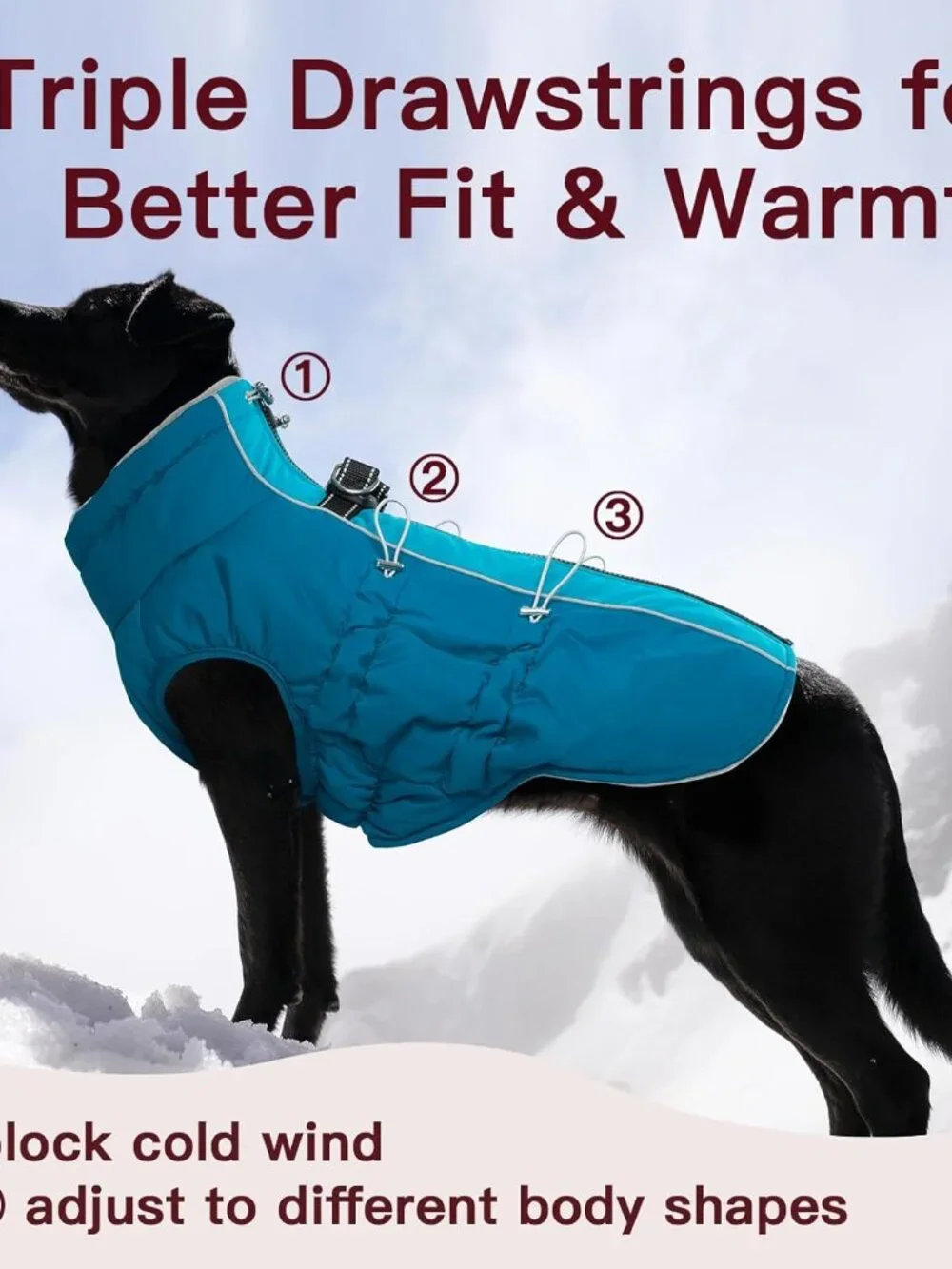 Dog Coat